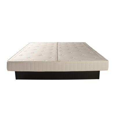 Wasserbett 180x220 180/220 Softside Dual Dualsystem Mesamoll 2 Wasserbett Duo komplett Komplettbett Wasserbettmatratze Berlin